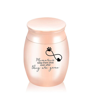 Infinity Symbol urne per cremazione Pet Keepsake urna commemorativa per ceneri umane-i ricordi li mantengono in vita anche dopo che sono andati - Product Image 1