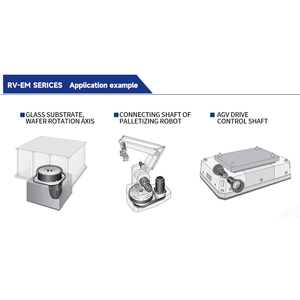 Reductor de Engranajes Cicloidal de Eje Hueco de Alta Precisión Serie RV-EM con Juego Cero para Juntas de Robot Compactas, 1 HP, Soporte ODM, Garantía de un Año - Product Image 6