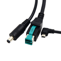 Câble adaptateur sur mesure 12V USB mâle vers DC6530 mâle + Mini USB mâle