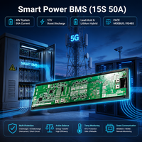 BMS LiFePO4 48V avec 100A 15S 16S, protection bidirectionnelle intégrée DC-DC, protection multiple pour la gestion de batteries lithium haute puissance