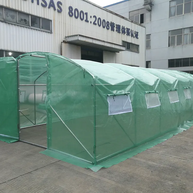 उद्यान ग्रीनहाउस कृषि ग्रीन हाउस में चलना प्लास्टिक शेड बढ़ने तम्बू वाणिज्यिक ग्रीनहाउस चीन से