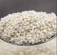 Prix de gros le plus avantageux 100% Graines de sésame séchées sans coquille 100% pures, produit naturel