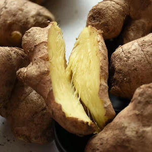 รากขิงสำหรับการเกษตรรากขิงผู้ใหญ่ขนาดใหญ่ได้รับการรับรองจากช่องว่างผักรสเผ็ดสำหรับใช้ในฟาร์ม - Product Image 6