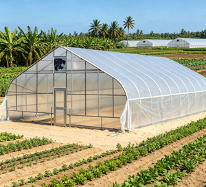 Commercial Single Span Gothic Tunnel Film Greenhouse Heavy Duty Galvanized Steel <b>Frame</b> Crop Cultivation Chamber Facility - Product Image 1
