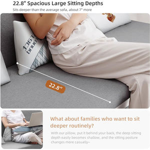 सोफे बिस्तर के लिए परिवर्तनीय सोफे बिस्तर पर रहने वाले कमरे के सोफे बिस्तर के लिए परिवर्तनीय - Product Image 2