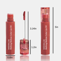 Rouge à lèvres liquide mat professionnel de haute qualité végétalien en gros échantillon gratuit brillant à lèvres mat maquillage imperméable pour les lèvres de marque privée