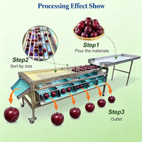 Jiayang Blueberry Sorteermachine, Grader voor Fruit, Cherry Tomaten Sorteermachine, Appel, Citrus, Ui Selectiemachine voor Elliptische Vormen