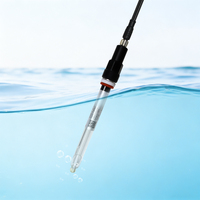 RIKA RK500-12 B2 Sonde de pH portable avec électrode, sortie RS485 4-20mA, étanche IP68, précision 0,01 pH, filetage PG13.5, 10s
