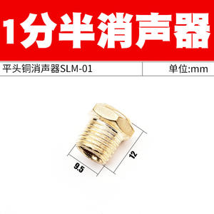 Raccord pneumatique silencieux SLM-01/02/03/04 avec électrovanne, silencieux à tête plate en laiton, type bobine - Product Image 3