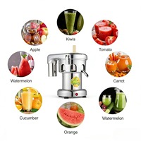 Commerciële aparte sapcentrifuge 100-120kg/u 550W industriële sapcentrifuge voor fruit- en groenteverwerking