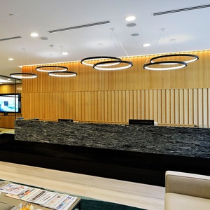 Plafonnier LED circulaire à profil linéaire 24V DALI DMX512 noir thermolaqué pour bureau, modèle <span class=keywords><strong>2026</strong></span>, de Zhongshan - Product Image 6