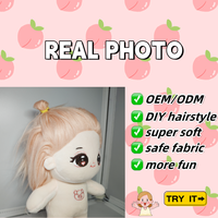 Peluche personnalisée pour fille, jouet de bricolage, poupée en coton farce avec photo réelle, broderie fantaisie, fournisseur de gros professionnel