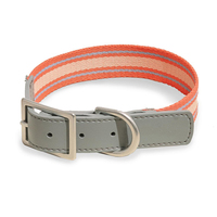 Collier de chien imprimé personnalisé Fullto durable et de haute qualité avec boucle à dégagement rapide