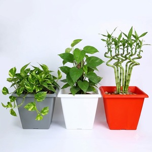 Pot de fleurs carré en plastique, finition mate lisse, 3 couleurs disponibles, rebord large, forme conique, pour pépinière, taille 34 cm, directement de l'usine - Product Image 1