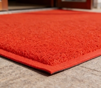 Tapis de sol en PVC personnalisable BOTHWIN 65 ShoreA avec impression de logo pour les entrées des centres de fitness professionnels