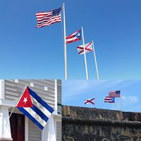 Drapeau de Porto Rico personnalisable 3x5 pieds 100% polyester pour extérieur avec 2 œillets en laiton cousus
