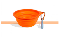 Bol d'eau pliable pour chien, portable, étanche, extensible, moderne, en silicone solide, pour l'intérieur et l'extérieur