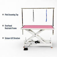 Table de toilettage pour animaux électrique hydraulique, réglable en hauteur, avec bras de toilettage, surface antidérapante et imperméable