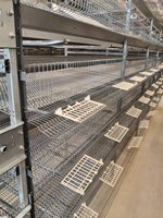 Nouvelle cage à cailles de type H à haute capacité, alimentée par batterie, automatique, pour l'élevage de poulets de chair et de volailles en ferme avicole