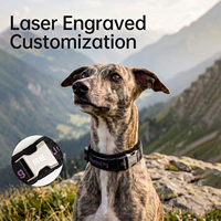Collier élégant et doux pour chien et chat Touchdog, anti-diffusion, anti-étranglement, laisse réfléchissante avec étiquette, accessoires pour animaux de compagnie OEM