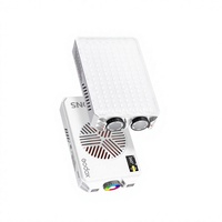 Godox C30BI 30W Mini Lumière d'Appoint Bi-Couleur Portable à LED avec Batterie au Lithium Intégrée pour Appareil Photo/Photographie et Éclairage de Natures Mortes Alimentaires