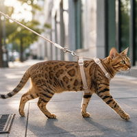 Set Tali Kekang Kucing yang Dapat Disesuaikan, Bahan Polyester Bentuk H Anti Lepas, Rompi Hewan Peliharaan dengan Desain Ringan dan Nyaman untuk Kucing