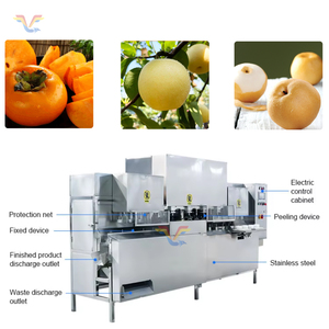 Machine à peler les pommes et les poires automatique à haut rendement avec moteur 220V, puissance 2,2 kW - Product Image 5