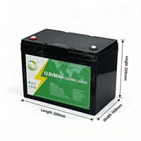 Batterie de stockage d'énergie au phosphate de fer et de lithium 12,8 V 80 Ah, qualité photovoltaïque, haute capacité, sans entretien, 6000 cycles