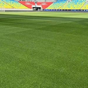 Cỏ nhân tạo hree-màu thực tế cỏ nhân tạo Turf, thực tế thảm cỏ, cỏ bán buôn, thực tế thảm cỏ - Product Image 5