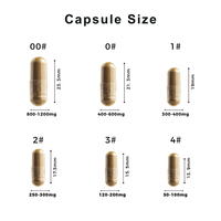 Capsules de Melon Amer à Marque Blanche OEM 2500mg Complexe 60/120/200 Comprimés Végétaliennes Sans OGM Vente en Gros Supplément OEM