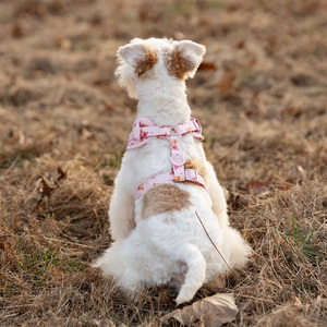 VPETBR Lüks Köpek Tasması Seti Fabrikası Eğitim Desteği Rahat Tasma Yeleği Yürüyüş Evcil Hayvan Tasması Tasarımcı Tedarikçileri - Product Image 4