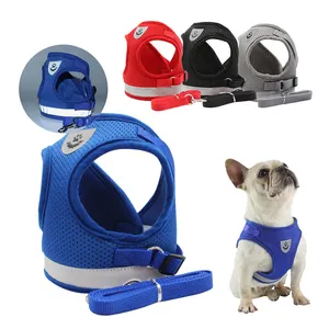 Professional Manufacture Reflective Ajustable Custom Logo Puppy Harness and Leash Set