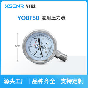 Manómetro de Oxígeno Suzhou Xuan Sheng 2.5Mpa de Acero Inoxidable con Conexión Roscada Analógica para Gas de Alta Pureza - Product Image 4