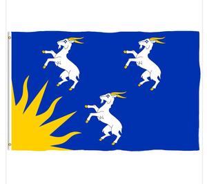 ธง DYFED ราคาประหยัด ธงกลางแจ้งแบบกำหนดเอง ขนาด 3x5 ฟุต พิมพ์ด้านเดียว ธงต้อนรับแบบสั่งทำพิเศษสำหรับตกแต่งสวน - Product Image 4