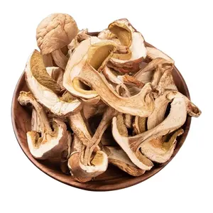 Detan, высокое качество, фабричные грибы, выращивают сушеные ломтики белых грибов, сорт