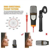 Sf-666-micrófono condensador profesional para ordenador portátil, 3,5mm, para cantar, hablar, Reunión, escritorio