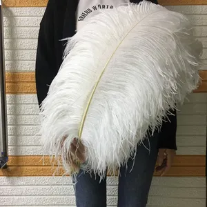 Importation en gros blanc/rouge festival plume d'autruche à vendre pas cher prix décoration de mariage plumes fournisseur plumes de panache