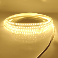 Bande lumineuse LED 220V sans fil 2835 double rangée 120 LED haute luminosité IP20 ABS intérieur extérieur maison CRI80 6000K/3500K 100lm/W