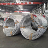 Ms Hot Dipped Electro Gi Fil d'acier galvanisé avec AISI 1008 1006 0.3mm 2mm 4mm 6.5mm ASTM 6 8 9 10 12 14 18 20 Gauge