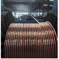 Cable de Alimentación de Bajo Voltaje DaDi de un Solo Núcleo, 630 mm, Aislado con PVC, para Arquitectura, 0.6/1KV
