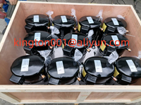 Compresor de Aire Hermético de Pistón Bristol H29B20UABCA, Capacidad 20400 BTU/H, Refrigerante R-22, Componentes Principales: Motor y Rodamientos