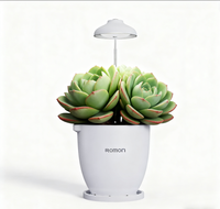 Pot de fleurs intelligent interactif numérique pour animaux de compagnie, pot de fleurs artificiel intelligent pour balcon et bureau, intelligence artificielle