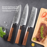 Couteau de Chef Kiritsuke 8 Pouces en Acier Inoxydable VG10 Damas, 67 Couches, Design Oriental en Bois, pour Cuisine Commerciale et Désossage Alimentaire