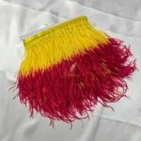 Frange en Plumes d'Autruche Véritables en Gros 10-15cm pour Couture DIY, Robe Flapper, Costume, Pyjama, Décoration Intérieure