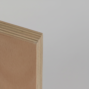 Chapa de abedul de madera contrachapada de eucalipto rentable de alta utilización de Material para sala de estar dormitorio cocina taller comedor Villa - Product Image 1