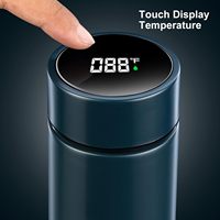 Botella de agua portátil con pantalla LED de temperatura de 500 ml, termo Digital inteligente de acero inoxidable, taza a prueba de fugas aislada al vacío