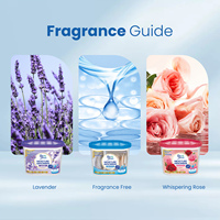 Mini déshumidificateur Whispering Rose 600ml pour armoire, séchoir à vêtements, déshydratant, boîte absorbante d'humidité pour chambre à coucher, usage domestique PurFresh