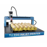 Hoge Kwaliteit Inkjet Printer Voor Ei Machines Voor Kleine Bedrijven Ei Date Machine Ei Date Printer