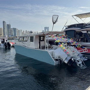Catamaran familial de plaisance de <span class=keywords><strong>10</strong></span> mètres, bateaux en aluminium pour la pêche en haute mer, navire de loisirs, yacht en aluminium, <span class=keywords><strong>bateau</strong></span> de sport de plaisance - Product Image 5