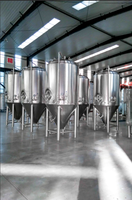 Cuve de Fermentation Conique en Acier Inoxydable de Haute Qualité 50T 60T 70T pour Bière